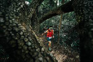 BIB: 
                            <button type="button" onclick="openModal(25391957)" class="btn btn-primary btn-sm float-right btn-popup" data-toggle="modal" data-target=".modal-high-quality">
                        <i class="fas fa-shopping-cart"></i> Add to Cart
                    </button>
                                            <button type="button" onclick="isThisMe(25391957, true)" class="btn btn-success btn-sm float-right btn-popup btn-isme hidden" data-toggle="tooltip" data-placement="bottom" title="นี่คือรูปของคุณใช่ไหม คลิกที่นี่เพื่อเอาเข้าอัลบั้ม">
                        <i class="fas fa-plus"></i> Add to album
                    </button>
                    <button type="button" onclick="isThisMe(25391957, false)" class="btn btn-warning btn-sm float-right btn-popup btn-isnotme hidden">
                        <i class="fas fa-ban"></i> Remove from album
                    </button>